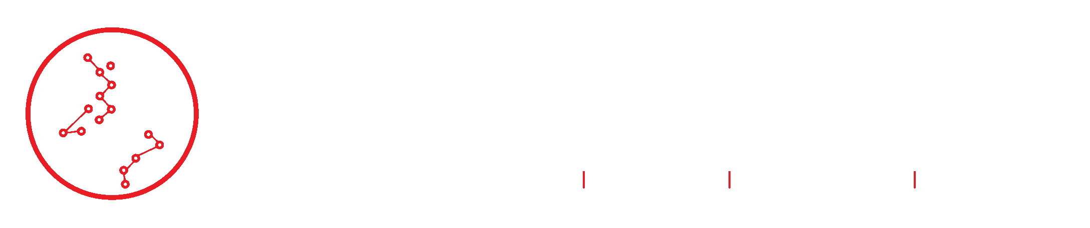 Association of Computing Practitioners of Kenya logo